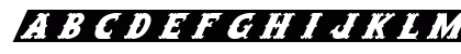 FZ BORDERS 15 ITALIC Normal Preview