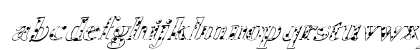 FZ ROMAN 24 SPOTTED ITALIC Normal Preview