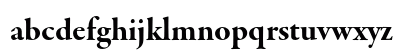 Garamond Premier Pro Bold Subhead Preview