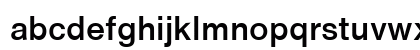Medium Regular Preview