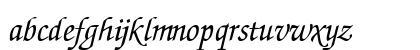 HZurichCalligraphic Italic Lowercase Preview