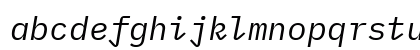 IBM Plex Mono Italic Preview