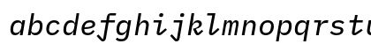 IBM Plex Mono Text Italic Preview