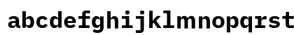 iMWritingDuospace Nerd Font Regular Preview