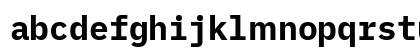 iMWritingDuospace Nerd Font Regular Lowercase Preview