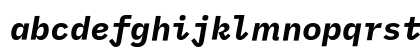 iMWritingDuospace Nerd Font Italic Lowercase Preview