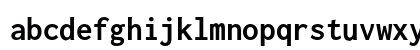 Inconsolata Nerd Font Bold Preview