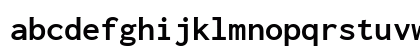 Inconsolata SemiExpanded Bold Regular Lowercase Preview