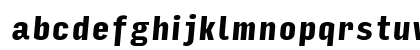 Input Sans Compressed Black Italic Preview