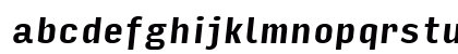Input Sans Condensed Bold Italic Lowercase Preview