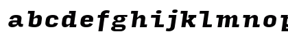 Input Serif Black Italic Preview