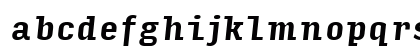Input Serif Condensed Bold Italic Preview