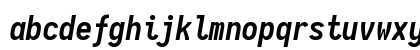 Iosevka Nerd Font Bold Italic Preview