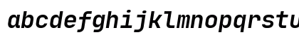 JetBrainsMono Nerd Font Mono Bold Italic Lowercase Preview