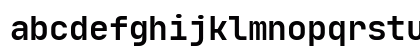 JetBrains Mono Bold Preview