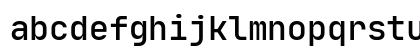 JetBrainsMono Nerd Font Regular Preview