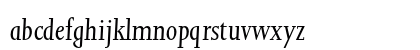 Joanna MT Std Italic Lowercase Preview
