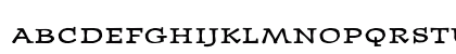 JournalUltraFractions Medium Lowercase Preview