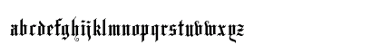 LeonTextOpti Solid Preview