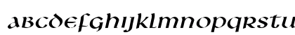 Leo-Wide Italic Preview