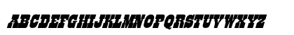 LIKE PERSONAL USE Lowercase Preview