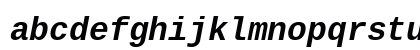 LiterationMono NF Bold Italic Preview