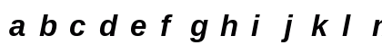 LiterationSans NF Bold Italic Preview