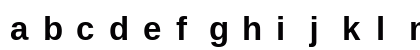 LiterationSans NF Bold Preview