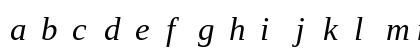 LiterationSerif NF Italic Preview