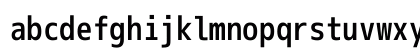 mplus Nerd Font Regular Preview