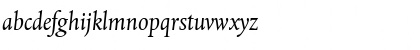 DTLAlbertinaST Italic Font