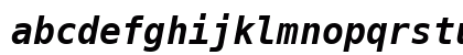 MesloLGMDZ NF Bold Italic Preview