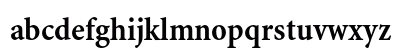 Minion Bold Condensed Lowercase Preview
