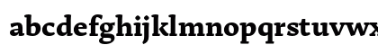 MP RSArek Latin Bold Preview