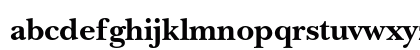 ITC New Baskerville Std Bold Preview