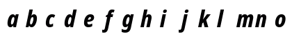NotoSans Nerd Font Mono Italic Lowercase Preview