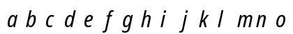 NotoSans NF Italic Preview