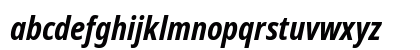 NotoSansDisplay Nerd Font Bold Italic Preview