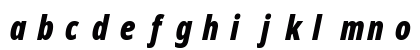 NotoSans Nerd Font Mono Italic Lowercase Preview
