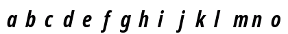 NotoSans NF Bold Italic Preview