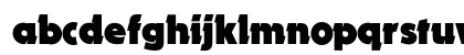 O PTIDynamo Lowercase Preview