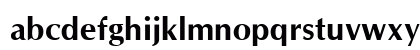 Optim Bold Preview