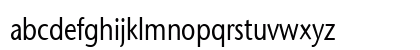 Optimist-Condensed Normal Preview