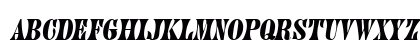 Paddock Oblique Preview