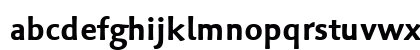 Palatino Sans Arabic Bold Lowercase Preview