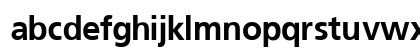 PalmaSSK Bold Preview