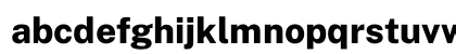 Public Sans ExtraBold Regular Preview