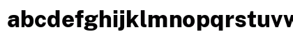Public Sans ExtraBold Regular Preview