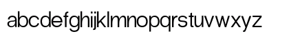 Radio Grotesk Light Regular Preview