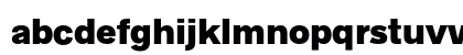 Radnika Next Black Alt Preview